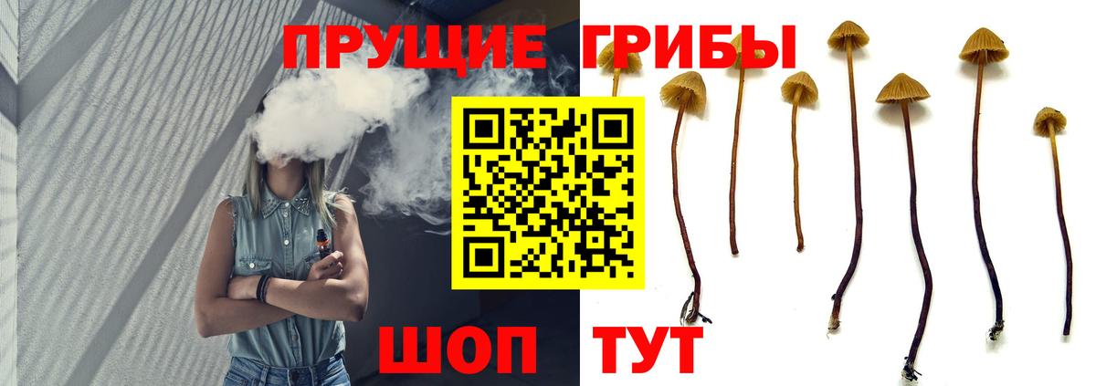 Псилоцибиновые грибы Magic Shrooms  Вход с VPN  что такое наркотик  Псилоцибиновые грибы мицелий  Рославль 